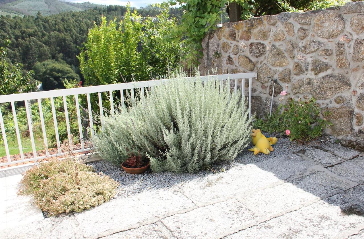 Casa Da Bichaca Guest House Castelo de Paiva Luaran gambar